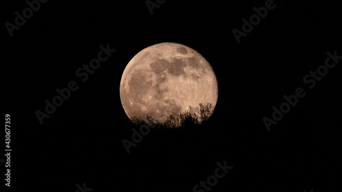 pink moon rising over Stuittgart behind the silhouette of a tree line 