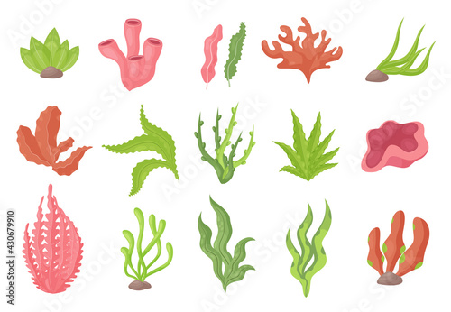 Seaweed underwater plants from sea bottom or aquarium decor vector illustration set. Cartoon brown green kelp or marine algae growing in water, red ocean corals in marine collection isolated on white