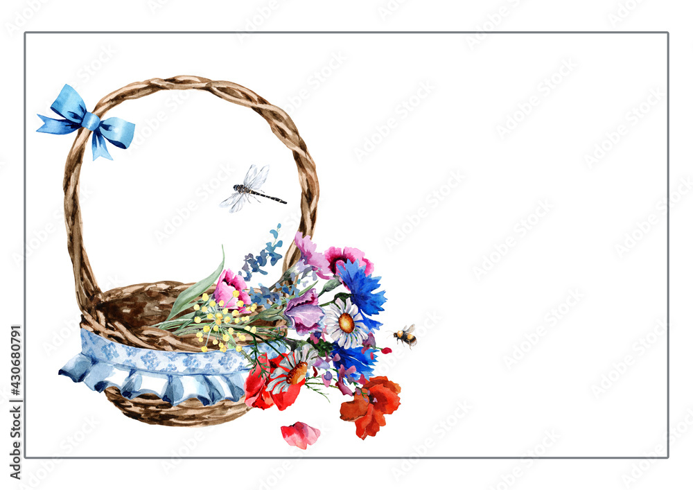 Wicker basket decorated with a bow with a bouquet of wild flowers of chamomile, carnations and a flying bee and a dragonfly. Hand-drawn watercolor on a white background for cards, invitations, prints.