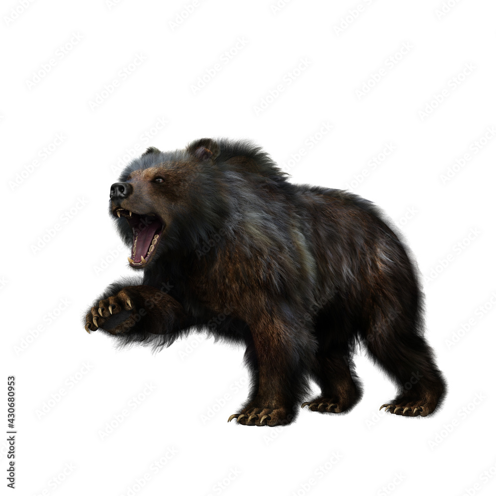 3D illustration of a grizzly bear in aggressive pose isolated on white. 3D illustration of a grizzly bear in aggressive pose isolated on white.