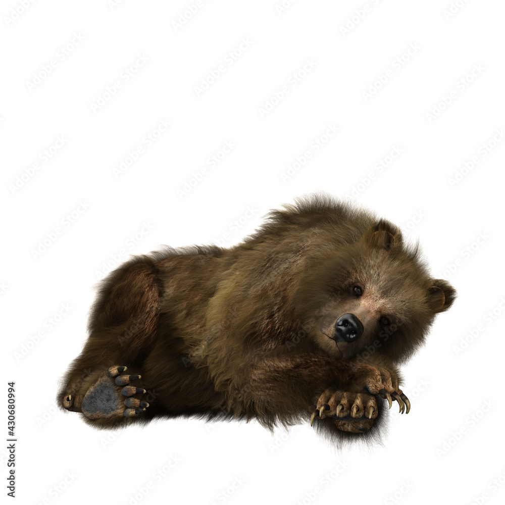 3D illustration of a brown bear relaxing isolated on white. 3D illustration of a brown bear relaxing isolated on white.