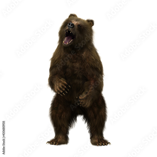 3D illustration of a brown bear standing on hind legs and roaring isolated on white.