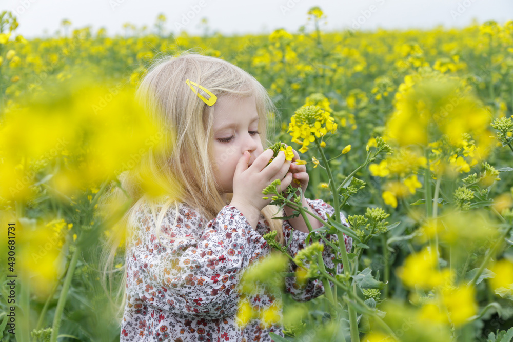Outdoor candid portrait of cute blonde girl in field of yellow flowers. Outdoor candid portrait of cute blonde girl in field of yellow flowers.