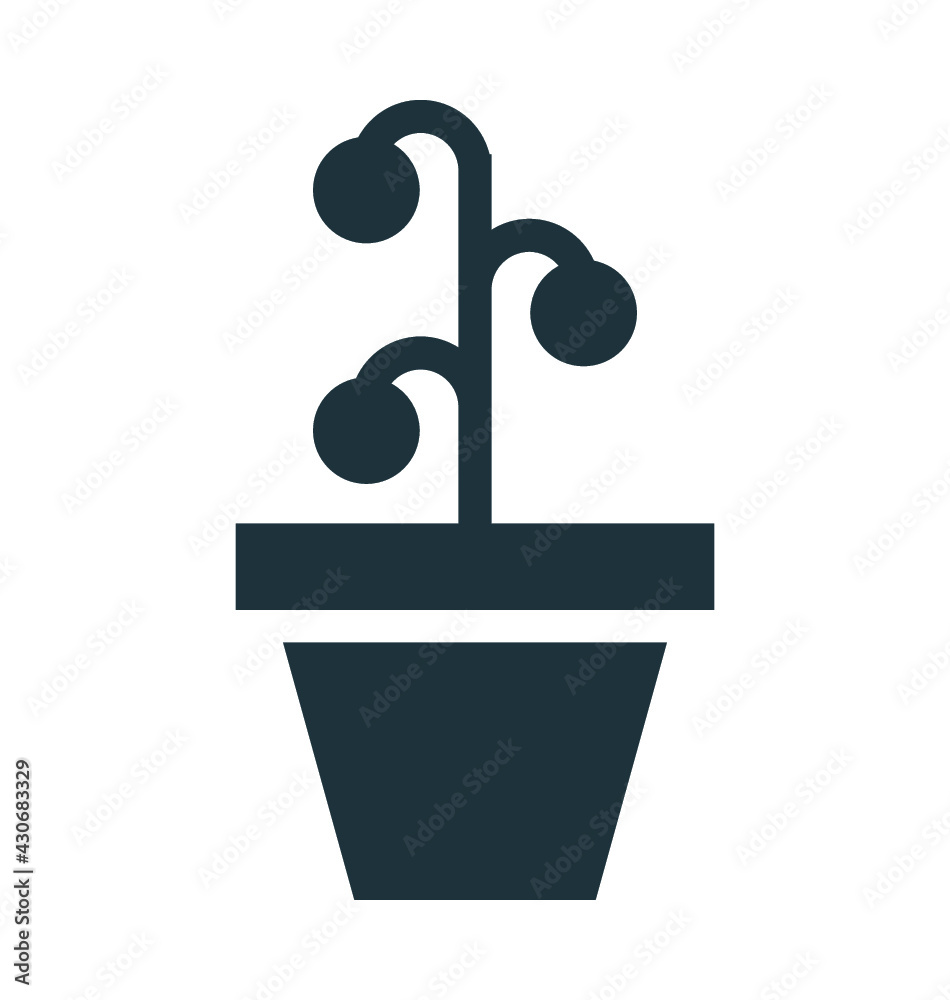 Potted Plant Potted Plant