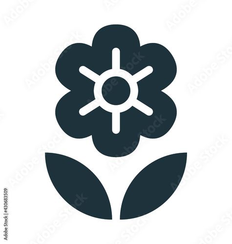Chinese Flower 