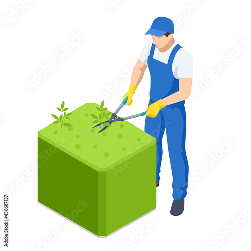 Agricultural work. Isometric gardener work on shrub, remove excess leave. Man hands cuts branches of bushes with hand pruning scissors. Gardener trimming and landscaping green bushes.