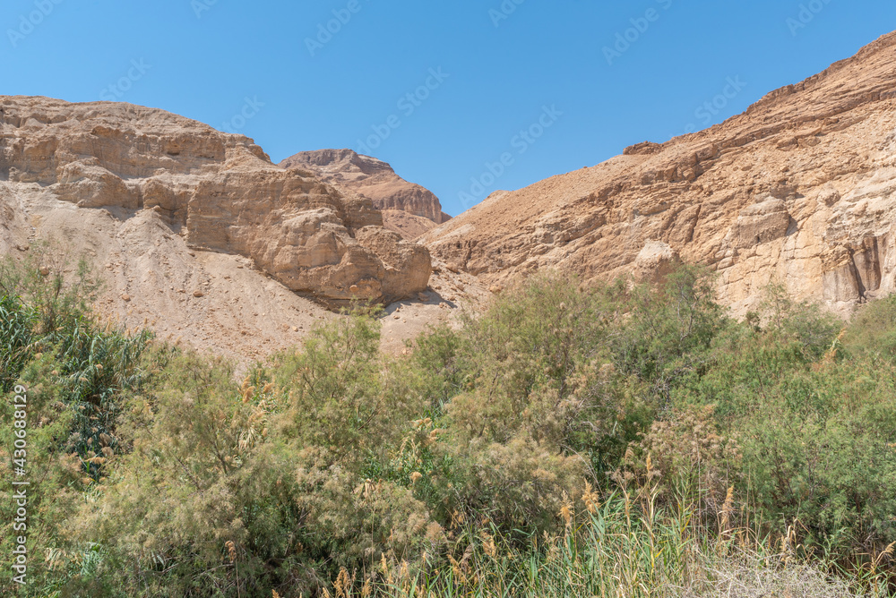 Judean Desert Nature Preserve, Ein Bokek River in Israel Judean Desert Nature Preserve, Ein Bokek River in Israel
