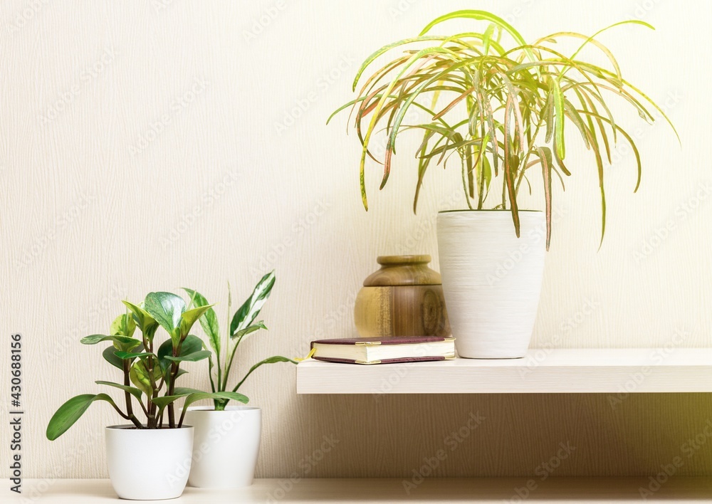 Obraz premium Background.