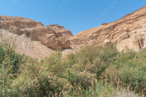 Judean Desert Nature Preserve, Ein Bokek River in Israel