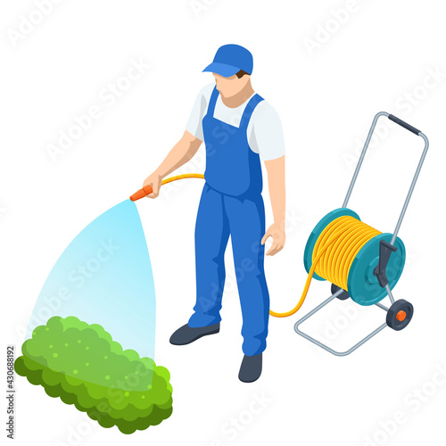 Agricultural work. Isometric farmer watering a vegetable garden. Gardener with watering hose and sprayer water on the vegetable photo
