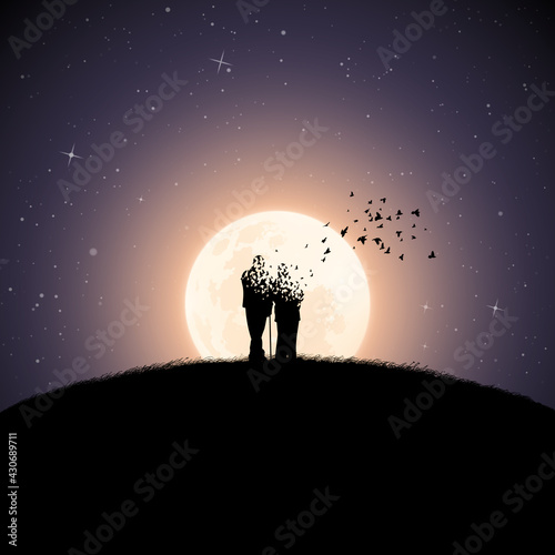 Fototapeta Naklejka Na Ścianę i Meble -  Seniors on moonlight night. Death and afterlife. Full moon silhouette
