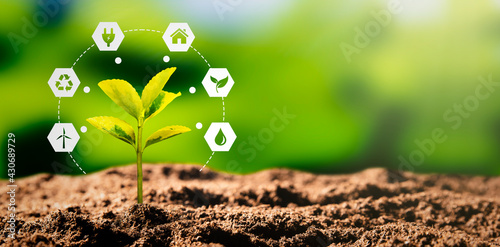 Tableau sur toile Sustainable energy sources concept