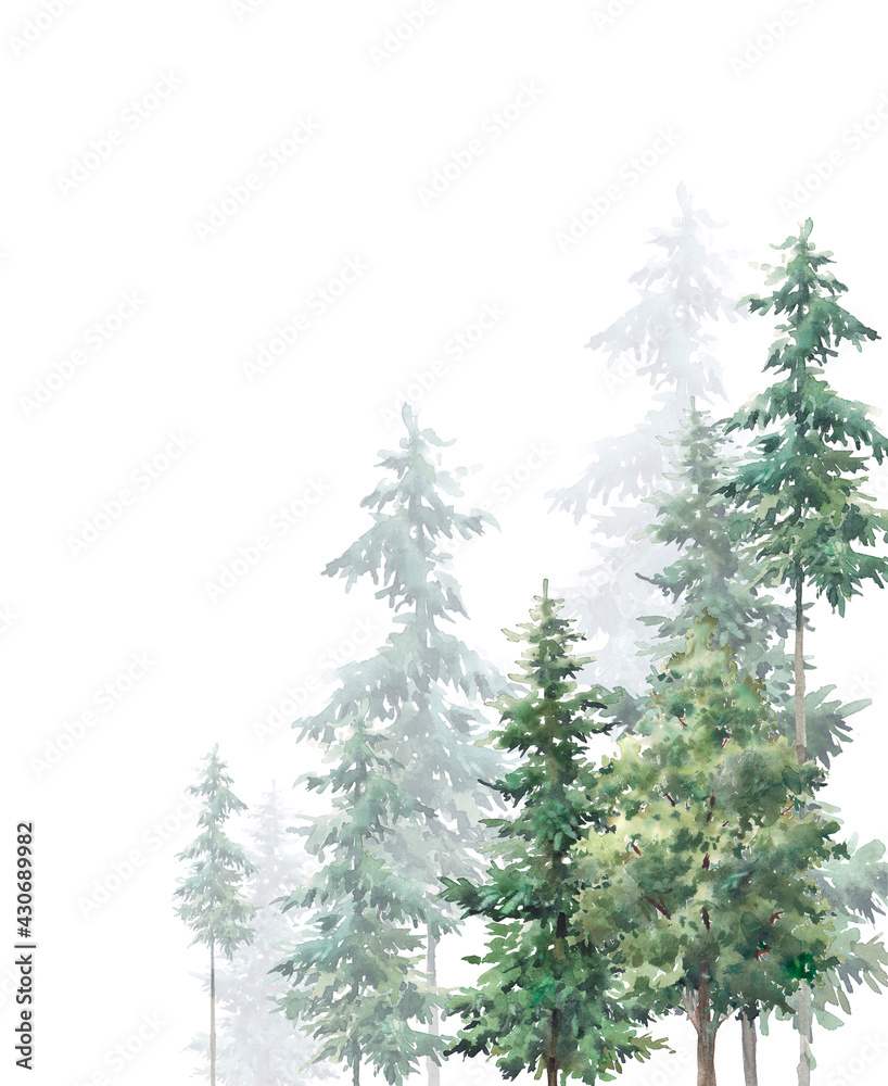 Watercolor green forest background. Card or invitation design with woods. Evergreen trees, fir natural artwork