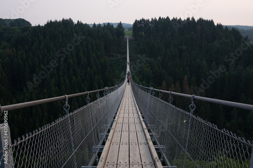 Fototapeta Naklejka Na Ścianę i Meble -  Hängeseilbrücke Geierlay