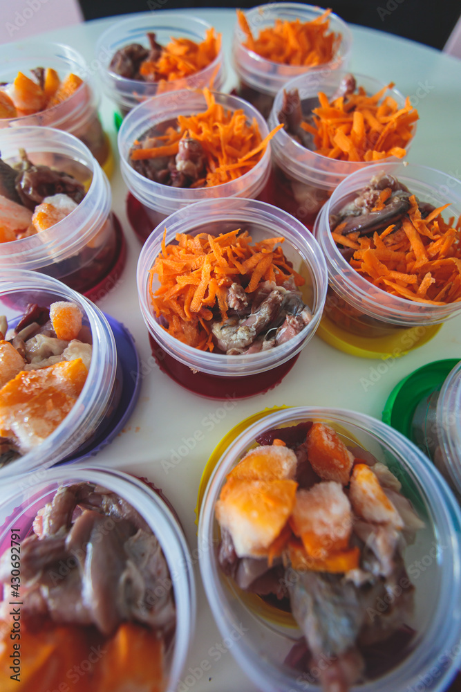 Process of preparing bowls with natural raw pet dog food at home, preparation of healthy raw barf for cats dogs, with duck, turkey, offals, meat, vegetables, assorted fresh food portions in containers