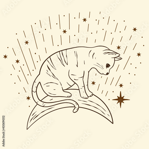 Celestial dreaming cat sacred astrology boho esoteric line art. Nursery animal outline art.