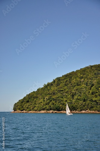 sailboat on the sea