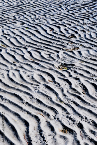 Sand ripples and seaweed scraps.  White Rock beach at low tide.