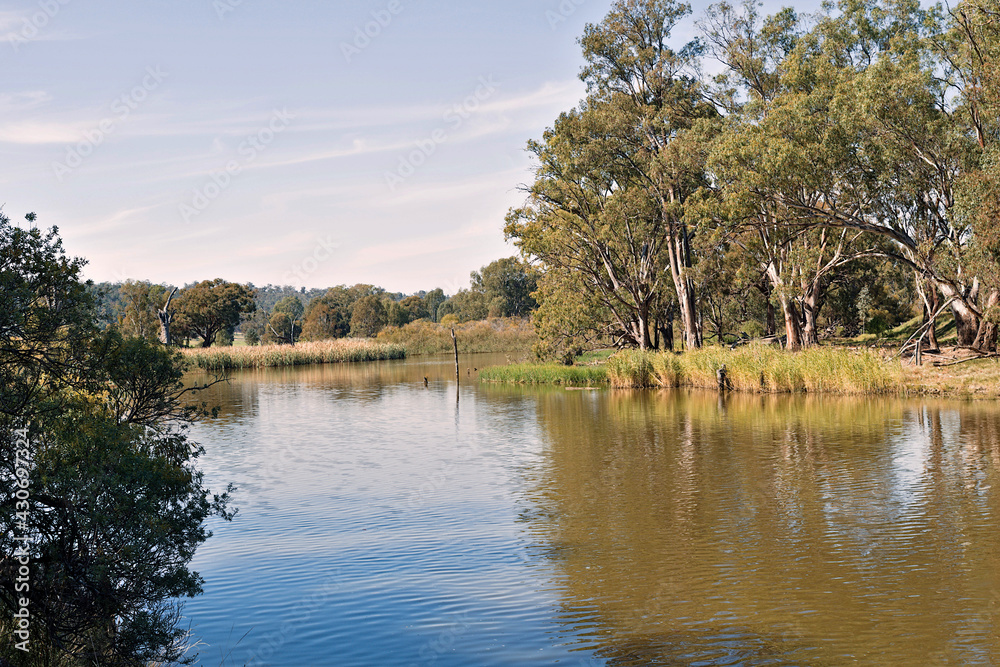 Obraz premium Reflections on the water of a river from trees and grass on a sunny day