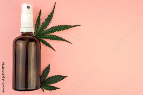 CBD body oil lotion Cannabis cosmetic product for skin care flat lay on pink background