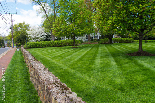 freshly mown lawn on the lawn of the house