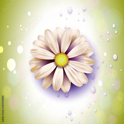 Flores