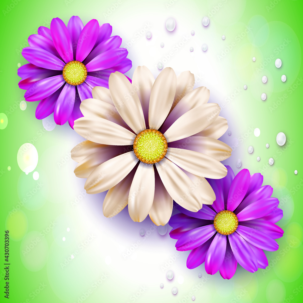 Flores
