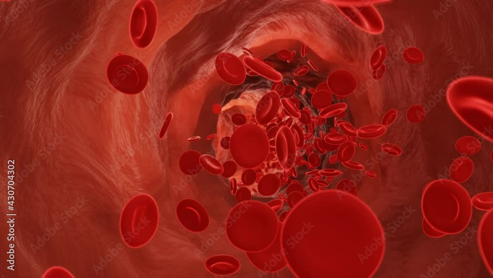 Red blood cells flowing in an artery. 3d video