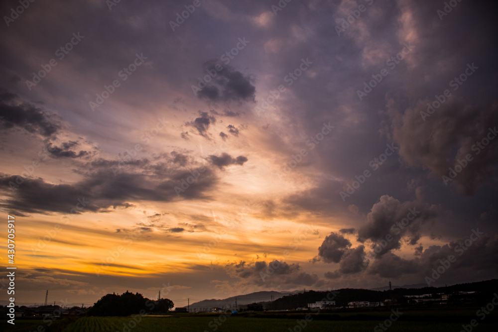 Obraz premium 田舎の夕日と田んぼ