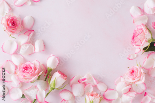 pink rose frame