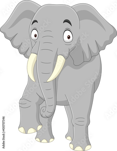 Cartoon elephant isolated on white background 