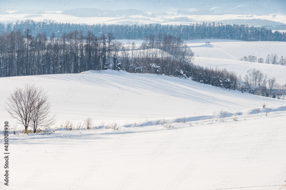北海道の冬景色 美瑛の丘の風景