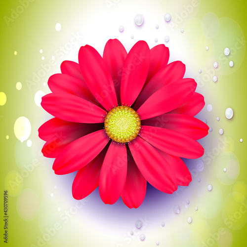 Flores