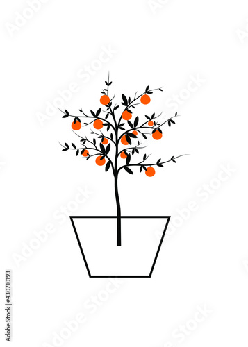 Illustration of an orange tree on a white backdrop, wallpaper of a simple orange tree, a poster for the wall.