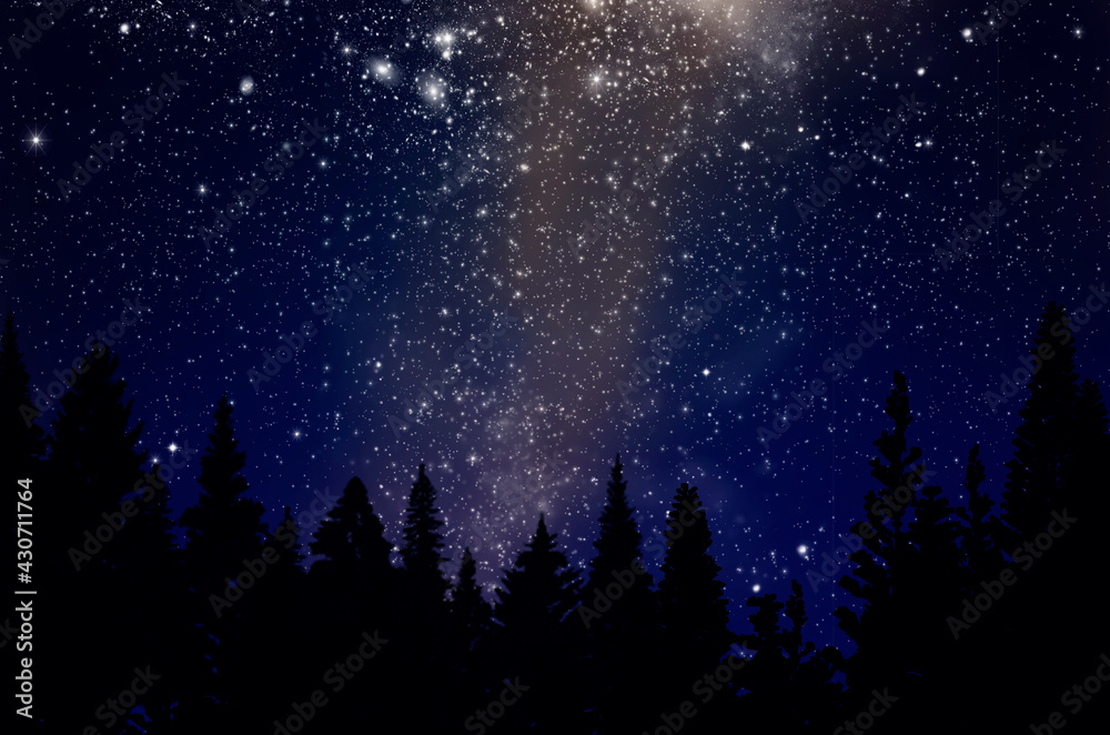 Beautiful milky way and bright stars over conifer forest in dark sky