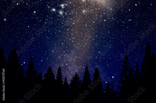 Beautiful milky way and bright stars over conifer forest in dark sky