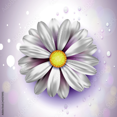 Flores
