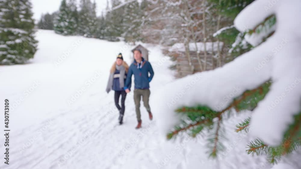a couple walks along a snowy path in a snow-covered forest. a fir tree is in the foreground visible