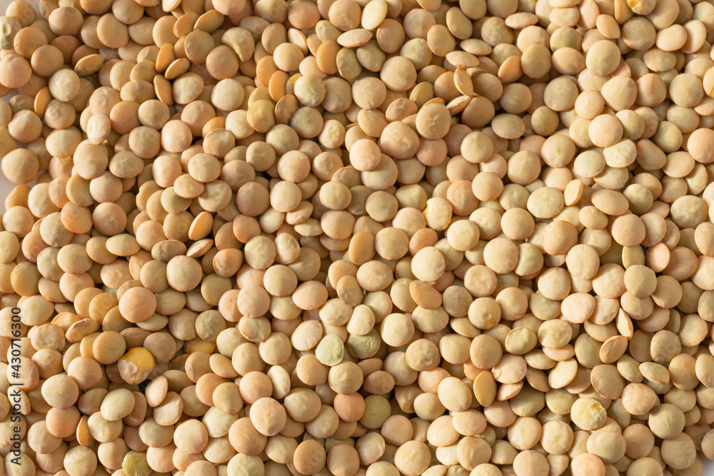 Close-up view of lentils in warm lighting. Close-up view of lentils in warm lighting.