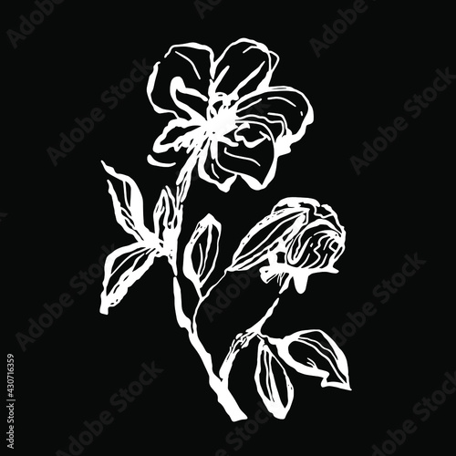 flower branch with leaves and unopened bud isolated vector background