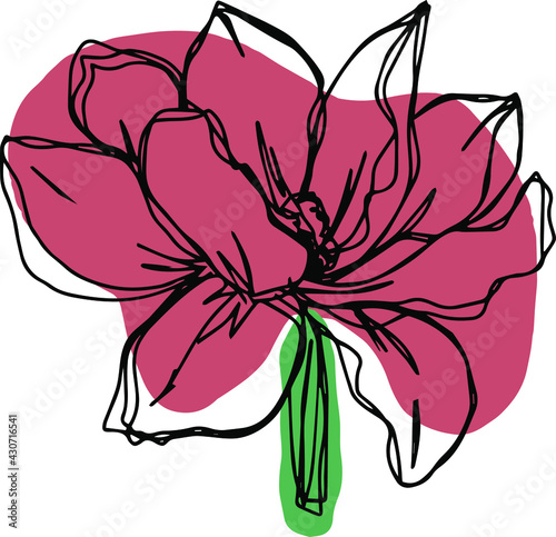botanical floristic contour flower peonies, poppies tulips open buds and closed. Vector isolated minimalistic terracotta flower
