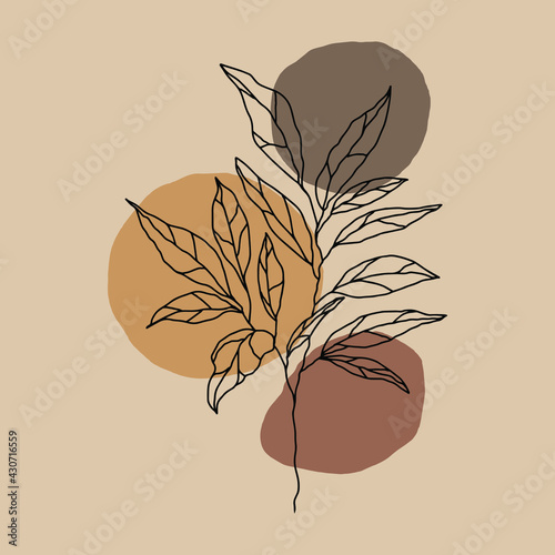 botanical floristic sketch contour branches with leaves. Vector isolated minimalistic branch on a background of jagged colored circles spots