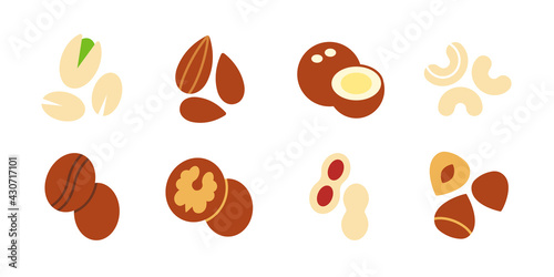 Nuts icon set. Vector flat color icon of nuts isolated on white. Almond cashew coffee hazelnut peanut pistachios walnut coconut collection. Modern design. Healthy food and vitamins
