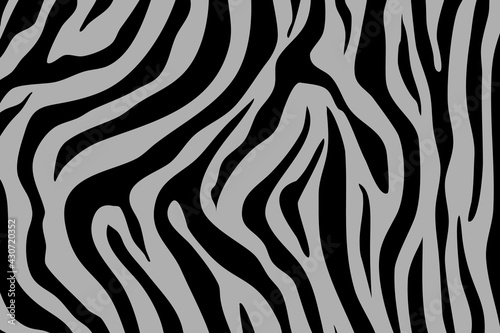 Tiger Pattern Illustration