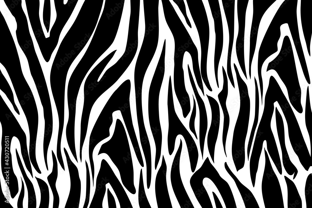 Zebra Pattern Illustration Zebra Pattern Illustration