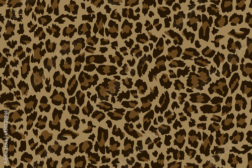 Leopard Patten Illustration