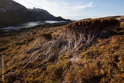 Evening in the Western Arthur Range, Southwest National Park, Tasmania. World Heritage Area photo