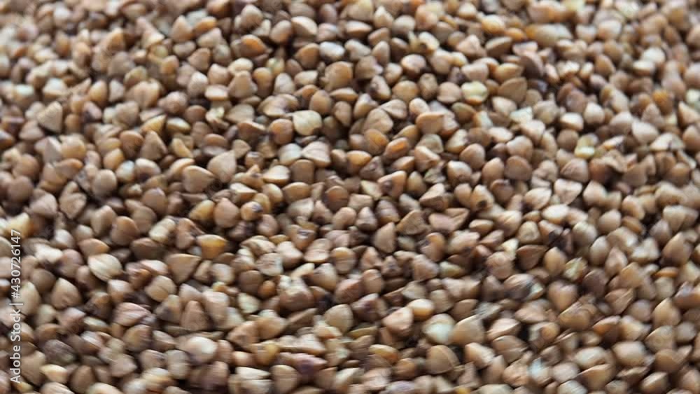 Raw buckwheat grains rotate. Close up of cereal porridge Raw buckwheat grains rotate. Close up of cereal porridge