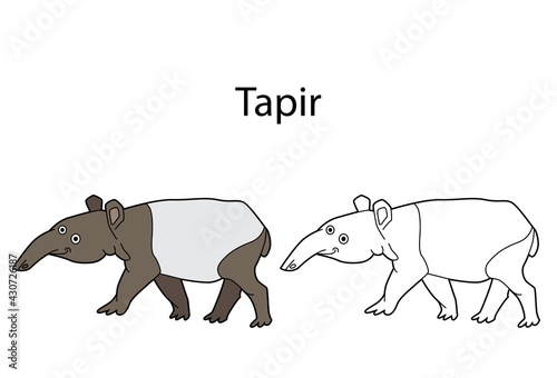 Funny cute animal tapir isolated on white background. Linear  contour  black and white and colored version. Illustration can be used for coloring book and pictures for children