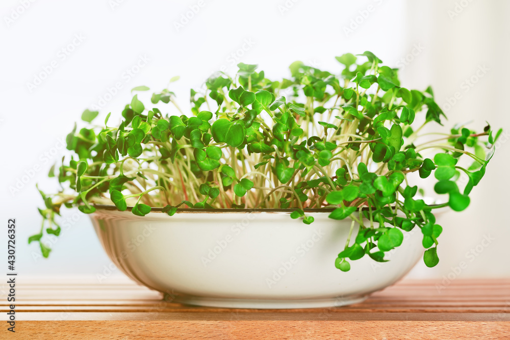 Micro greens superfood. Radish sprouts close up in a bowl. Germination and healthy eating and living. Gardening at home concept. Microgreens food. Wooden table Micro greens superfood. Radish sprouts close up in a bowl. Germination and healthy eating and living. Gardening at home concept. Microgreens food. Wooden table
